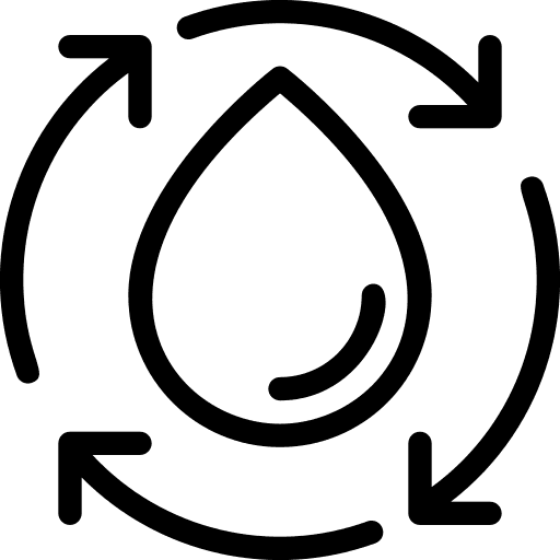 Ciclo